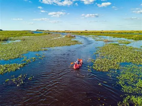 OIPPARQUE NACIONAL DEL IBERA
