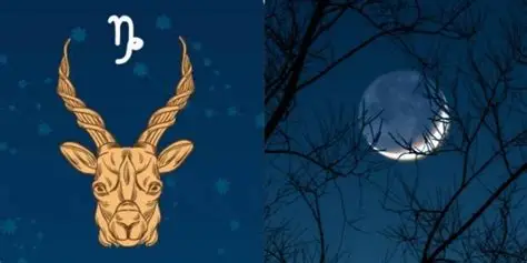 OIPLUNA NUEVA EN CAPRICORNIO