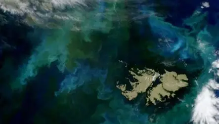 descargaislas malvinas