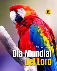 Sin título