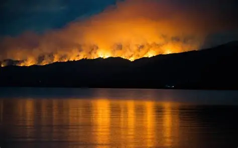OIPINCENDIOS EN LA PATAGONIA