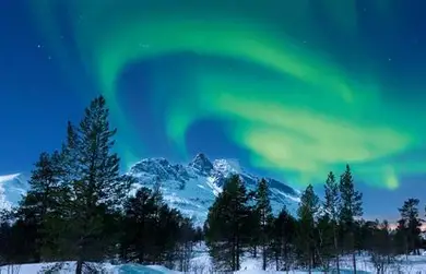 descargaAURORAS