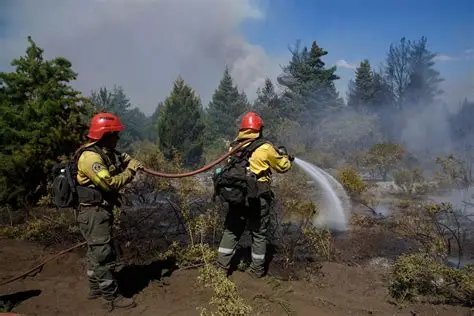 OIPINCENDIOS EN LA PATAGONIA