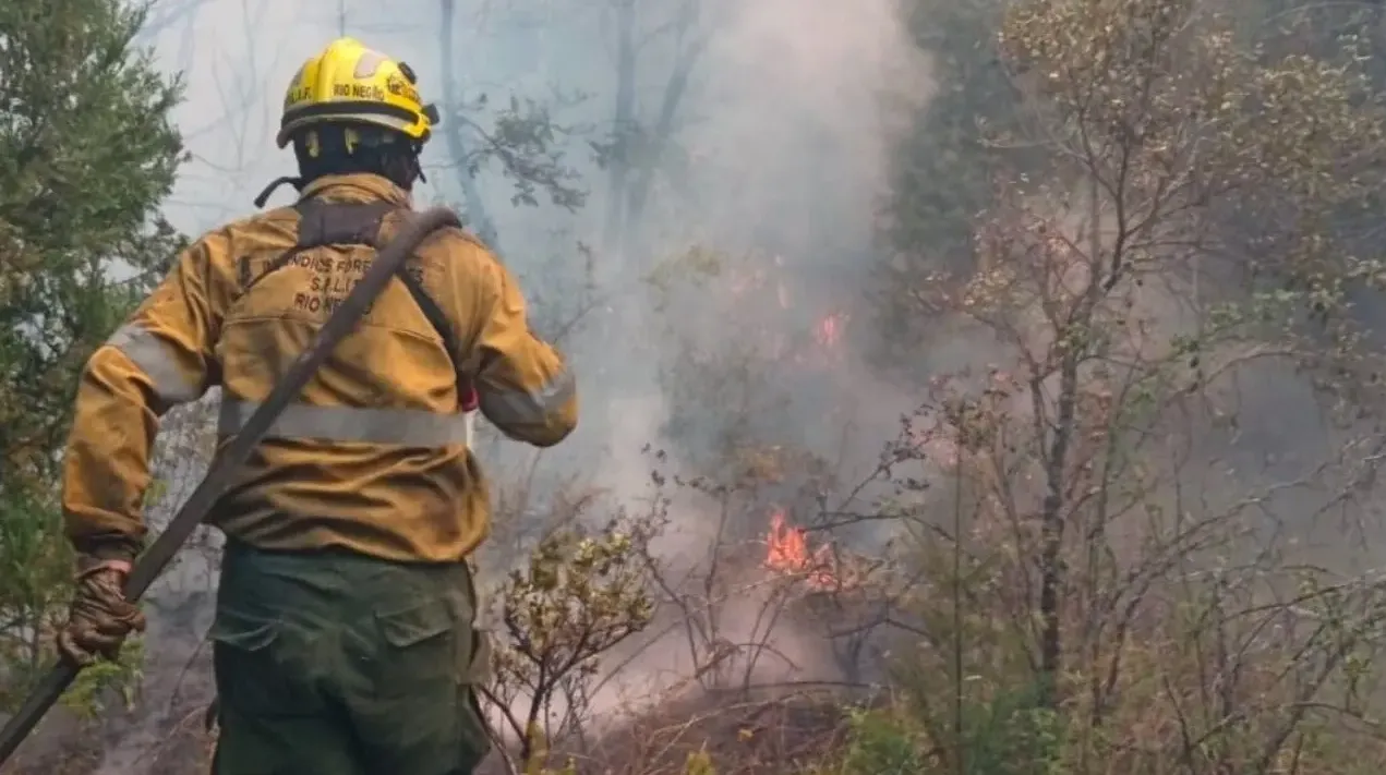 incendios-patagonia-argentinaINCENDIOS