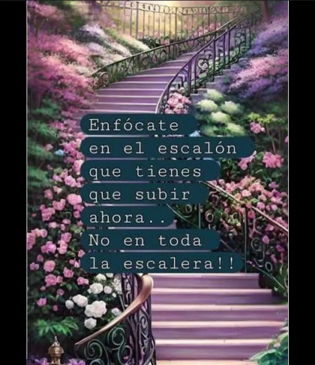 IMG-20251030-WA0004    ASCENDER