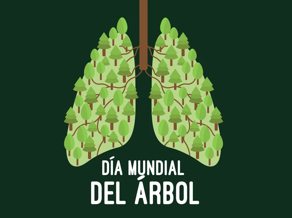 dia_mundial_arbol-scaled