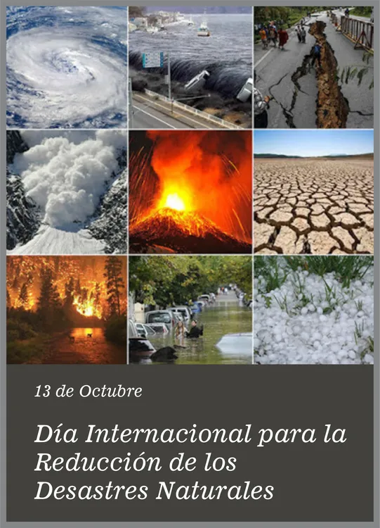 Sin título-1