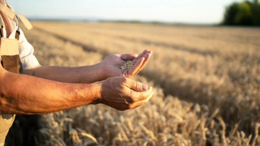 Diseno-sin-titulo3-7