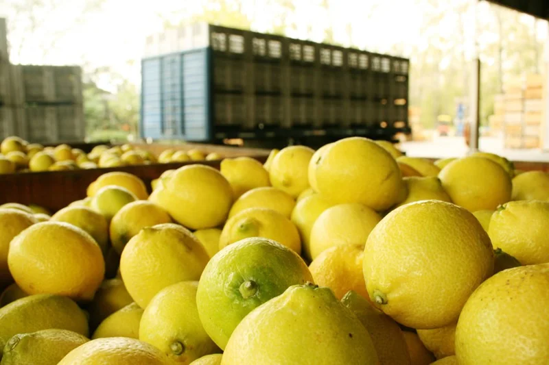 limones-argentina