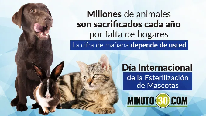 ESTERILIZACION