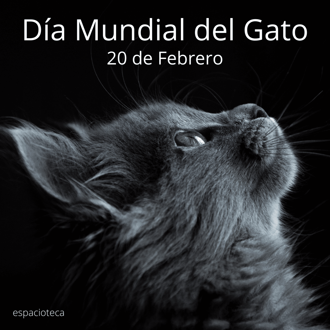 Dia-Mundial-del-Gato