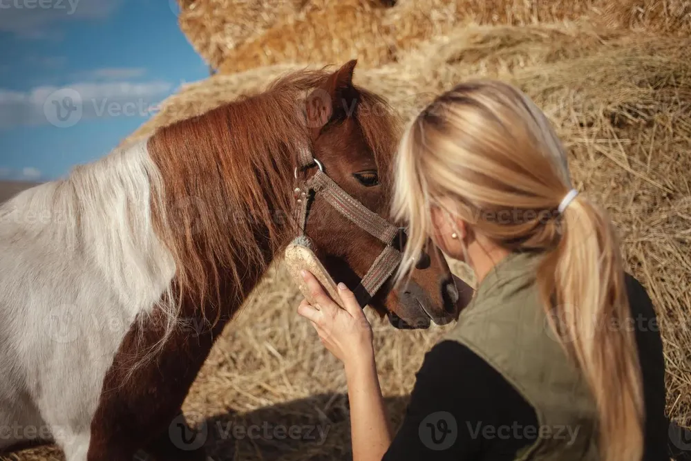 beautiful-woman-cleans-horse-with-brush-authentic-atmosphere-of-farm-spotted-pony-loves-master-close-up-photo