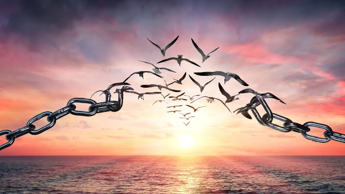 dia-internacional-la-libertad-por-que-se-celebra-el-23-enero libertad