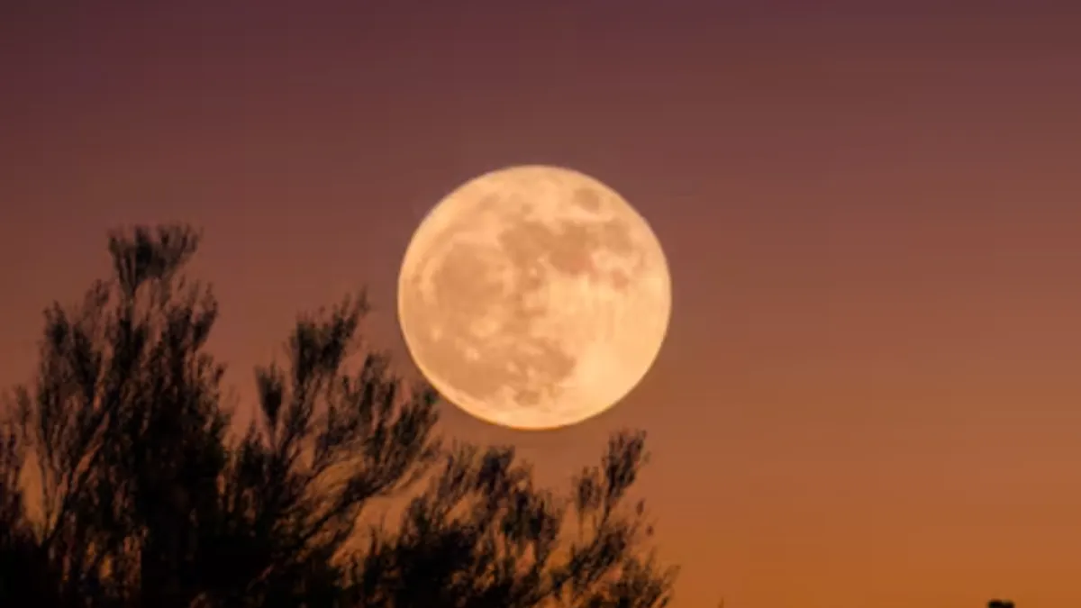 cosecha-luna-llena