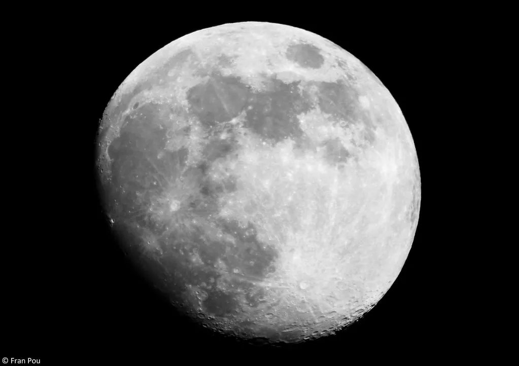 52664956902_f2c2ff9219_b