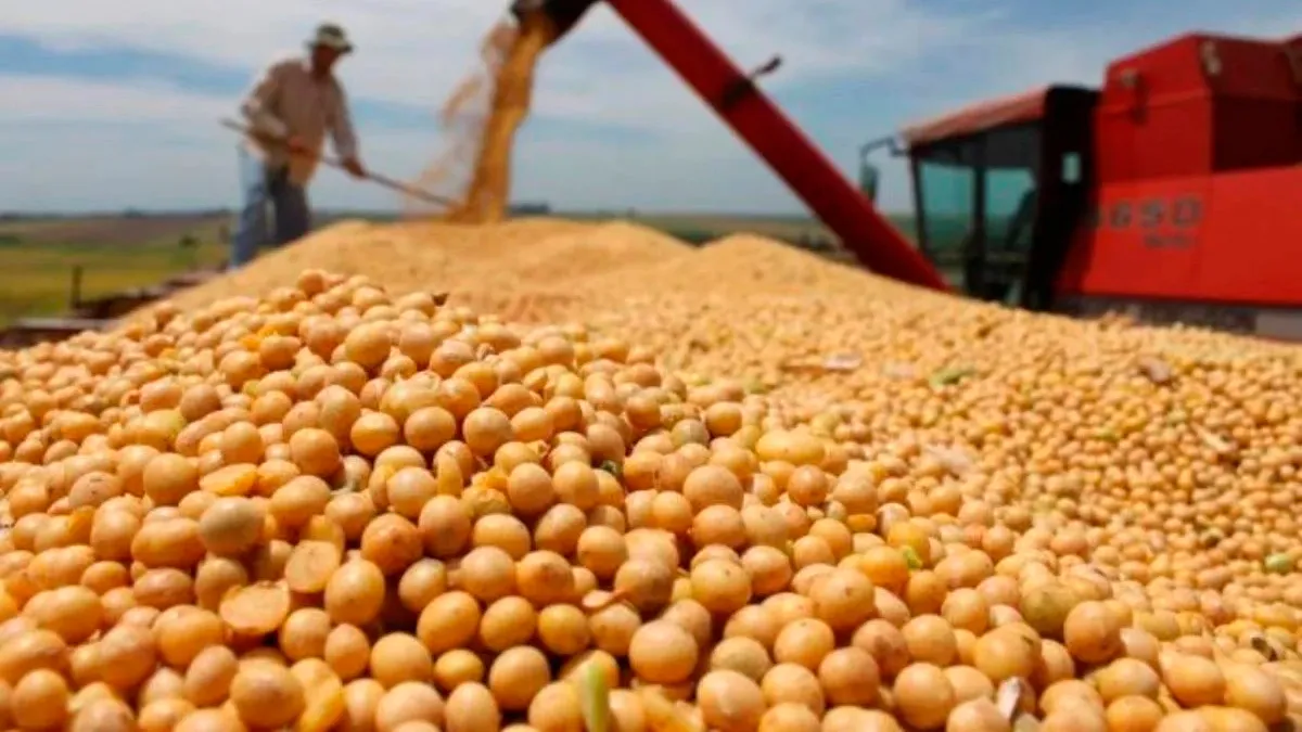 SOYA-BRASIL 2026
