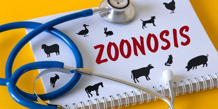 zoonosis-1200x630.2e16d0ba.fill-767x384
