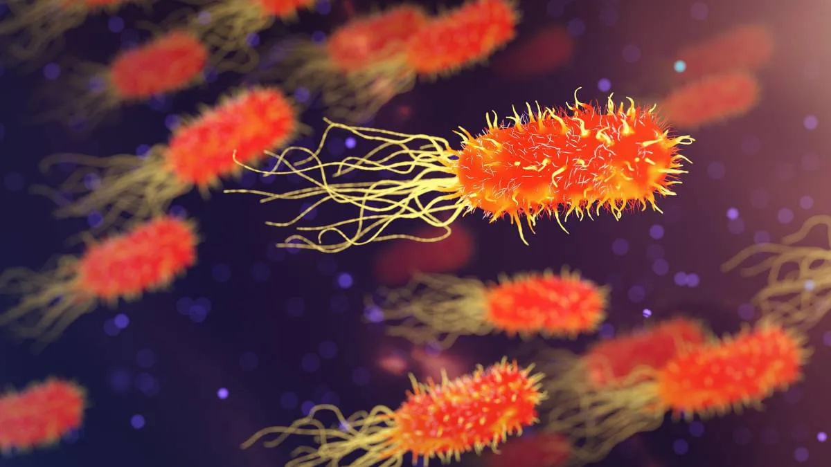 1566232277_243905_1566232806_noticia_normal