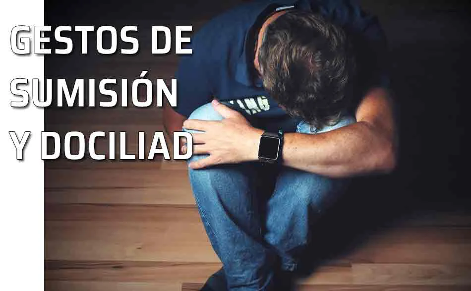 Rsumision