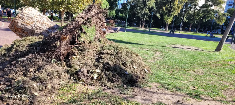 20260319_162436otras raices parque