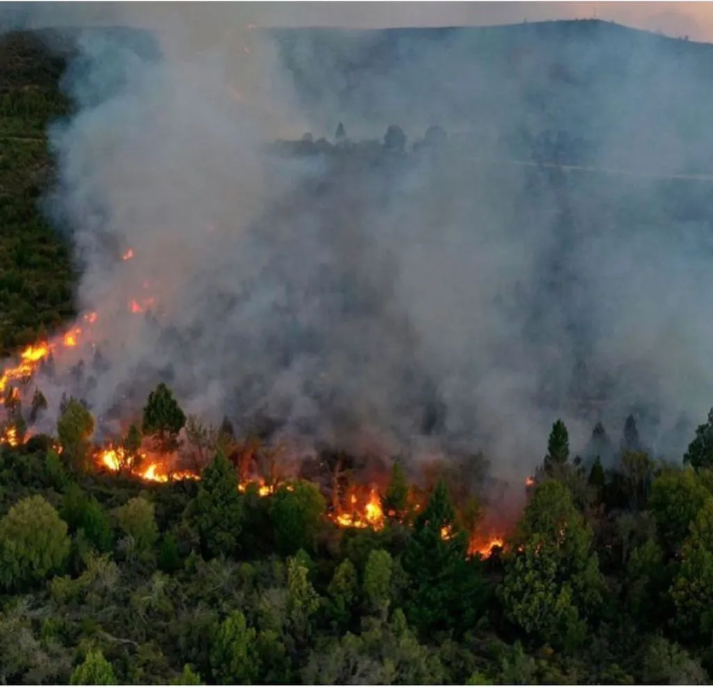 cddde068-ba46-41b4-af52-0241cea4e5f2INCENDIOS EN PATAGONIA