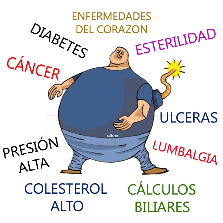 obesidad-y-enfermedades-asociadasOBESIDAD
