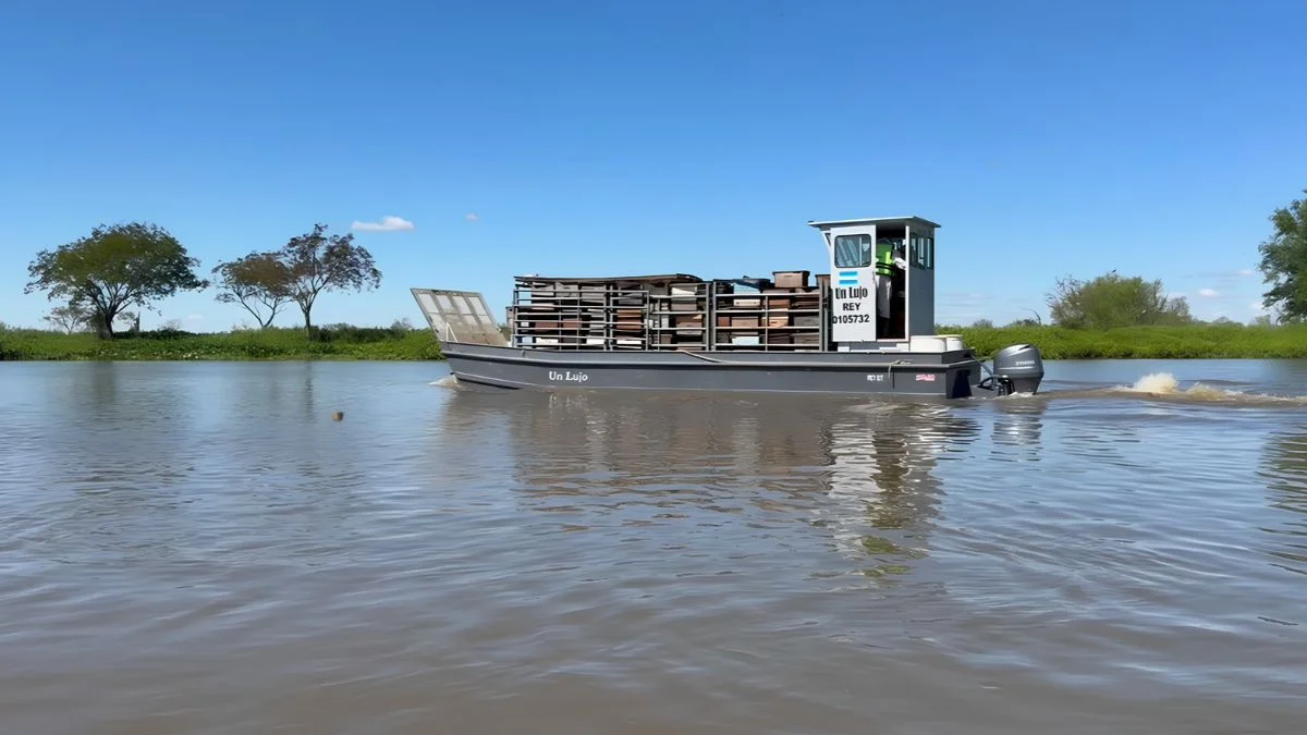 evacuacion-colmenas-isla-San-Javier