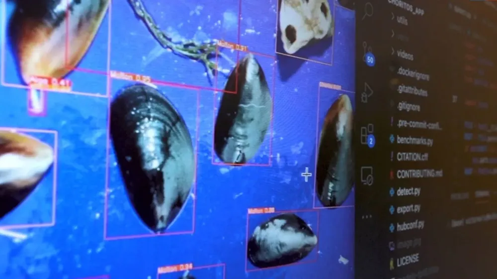 09-172716_j9iu_semillas-de-choritos-1600x900