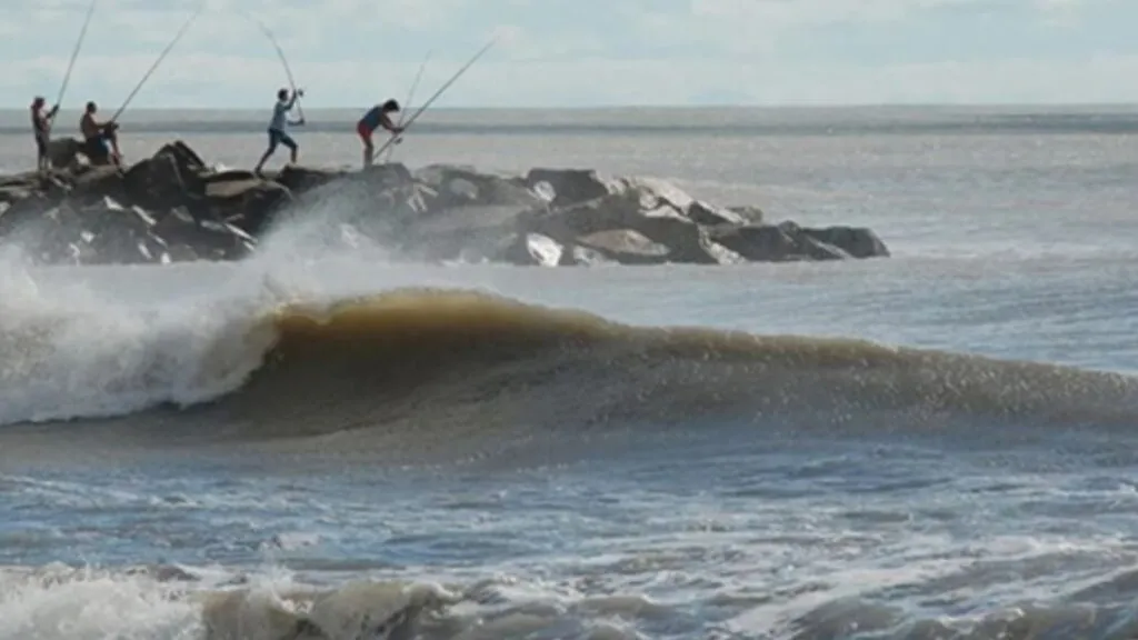 virazon-2168630-1024x576  VIRAZON