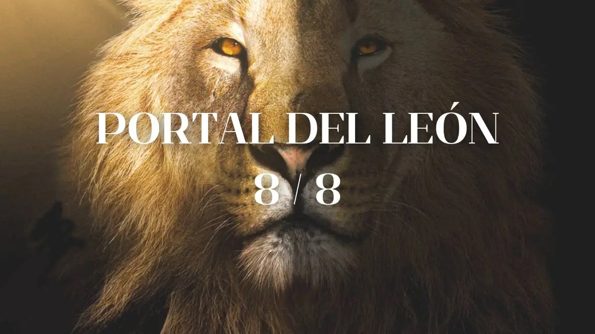 portal-leon-8-8