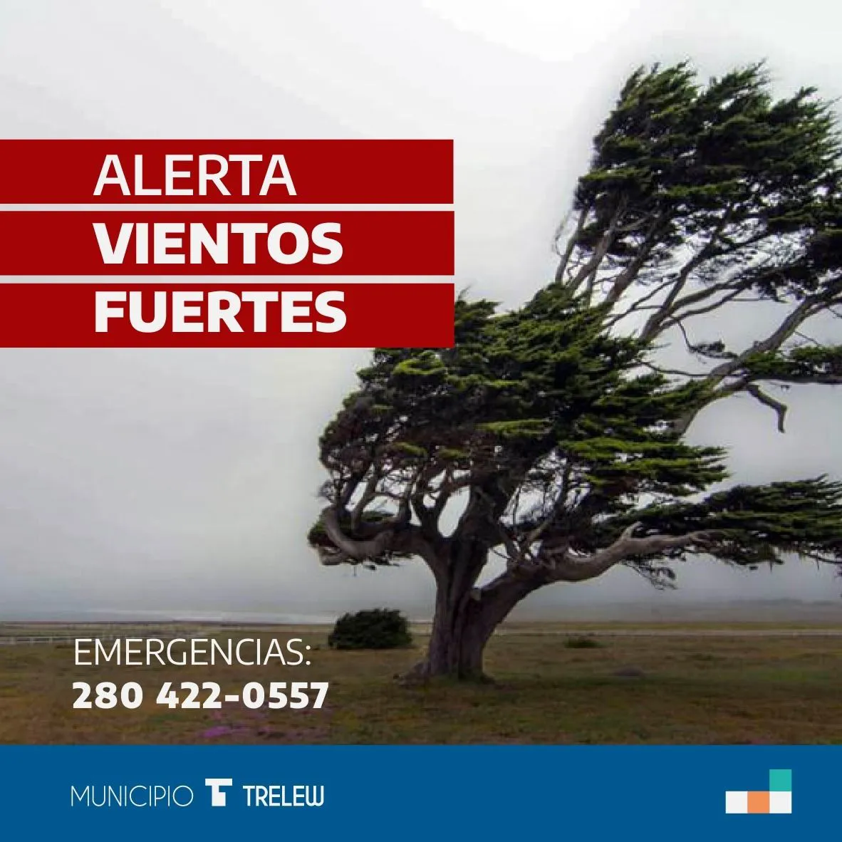 alerta-vientos-tw