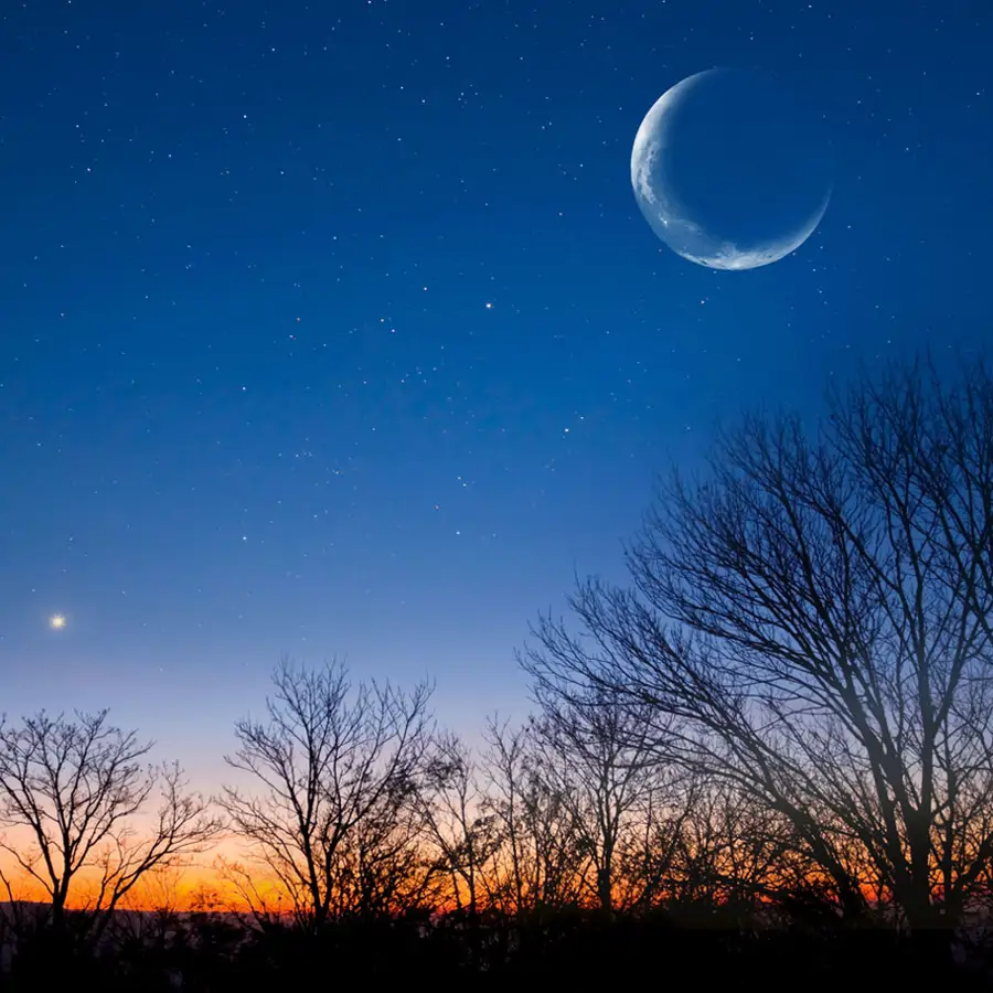 luna-menguante_1cd7a106_250203171611_900x900