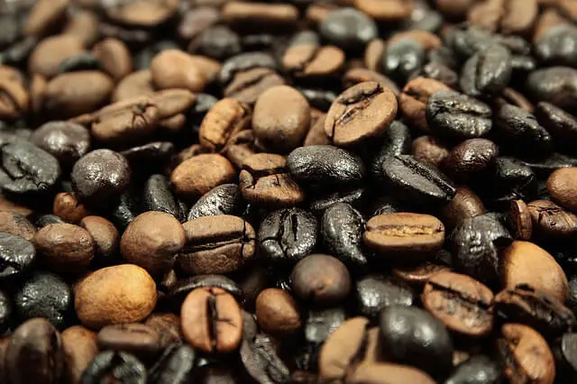 cual-es-la-materia-prima-del-cafe-1